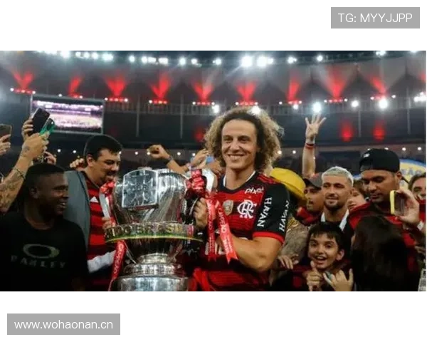 解放者杯最新冠军归属及夺冠历程分析 解放者杯最新冠军归属及夺冠历程分析