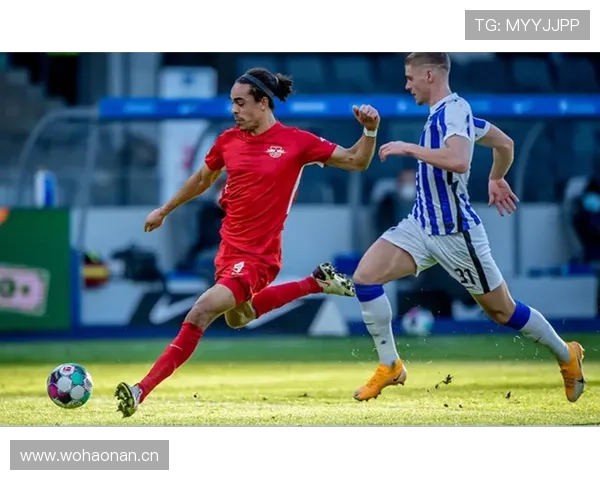 帕利尼亚巅峰期联赛冠军主力角色解析