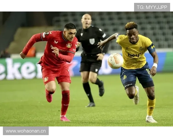 维尔茨大赛稳定性分析